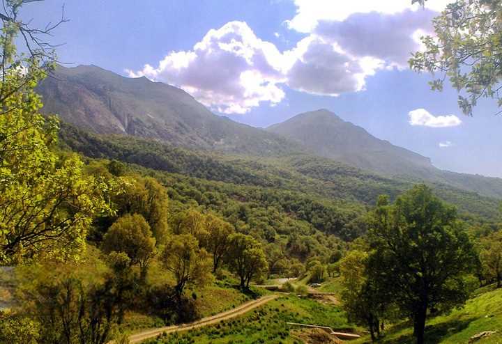 سوداگران منابع‌طبیعی زیر تیغِ قانون